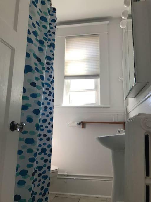Bright, Clean, Private. In The Heart Of Downtown! Parking, Wi-Fi And Netflix Included Appartement Ottawa Buitenkant foto
